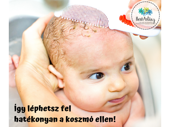 Így léphetsz fel hatékonyan a koszmó ellen!