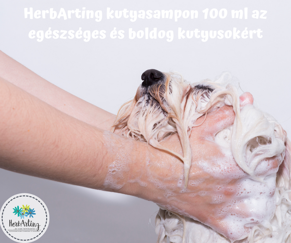 HerbArting kutyasampon 100 ml az egészséges és boldog kutyusokért szakértői cikk HerbArting