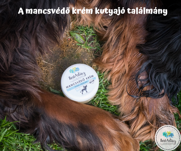 A mancsvédő krém kutyajó találmány
