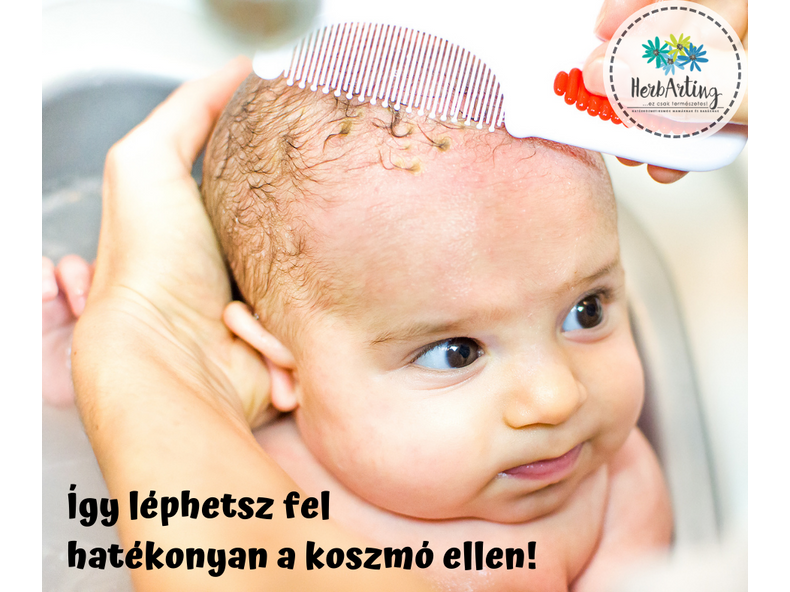 Így léphetsz fel hatékonyan a koszmó ellen!