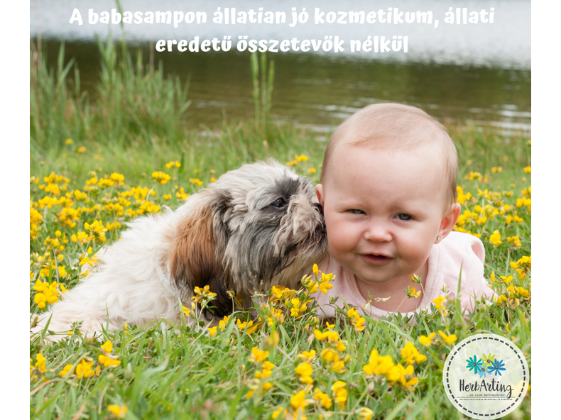 A babasampon állatian jó kozmetikum, állati eredetű összetevők nélkül