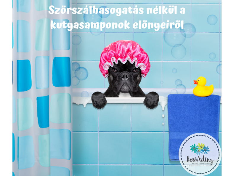 Szőrszálhasogatás nélkül a kutyasamponok előnyeiről